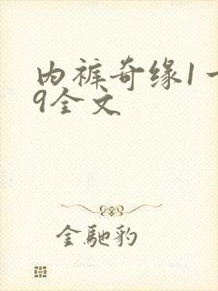 内裤奇缘1一39全文