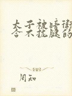 太子被暗卫c到合不拢腿的后果