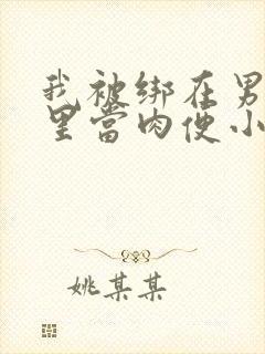 我被绑在男公厕里当肉便小说封面