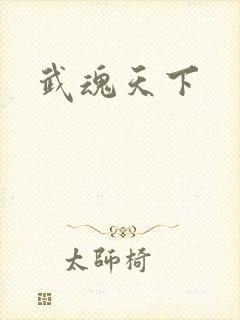 武魂天下