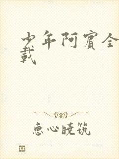 少年阿宾全集下载