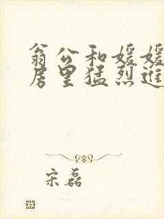 翁公和媛媛在厨房里猛烈进出