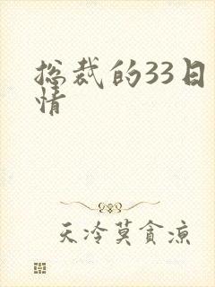 总裁的33日索情