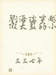 刘海瑞穿越后宫假太监的小说