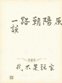 一路朝阳原著小说