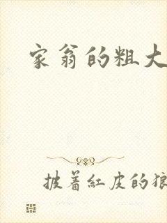 家翁的粗大