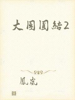 大团圆结2
