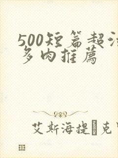 500短篇超污多肉推荐