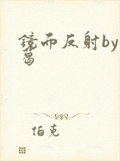 镜面反射by九葛