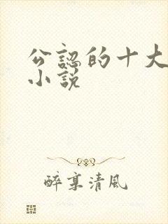 公认的十大虐心小说封面