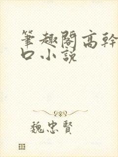 笔趣阁高干文入口小说