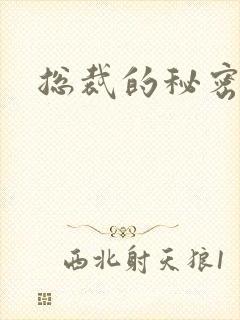 总裁的秘密情人