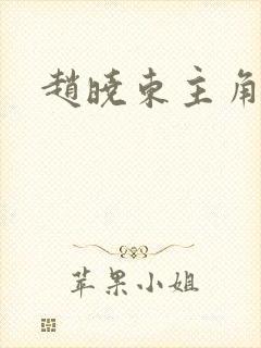 赵晓东主角小说