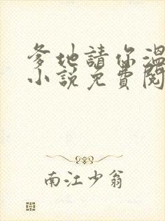 爹地请你温柔点小说免费阅读