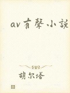 av有声小说