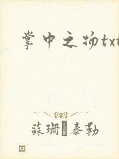 掌中之物txt封面