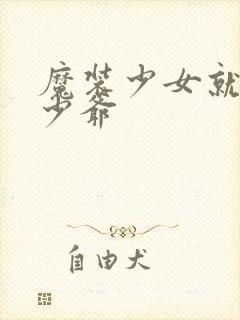 魔装少女就是本少爷