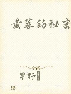黄蓉的秘密