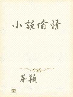 小说偷情