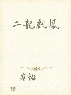 二龙戏凤