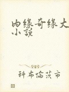 内缘奇缘大团圆小说封面