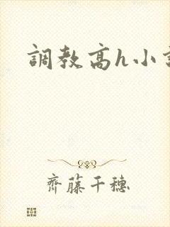 调教高h小说封面