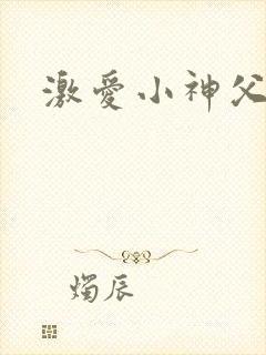激爱小神父