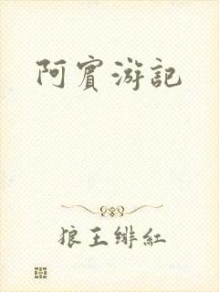 阿宾游记