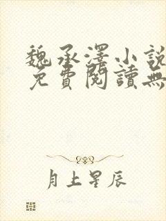 魏承泽小说全文免费阅读无弹窗笔趣