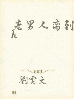 老男人脔到她哭h