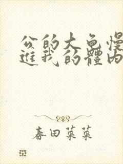 公的大龟慢慢挺进我的体内视频