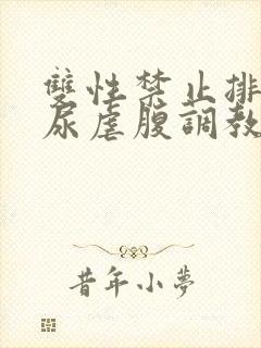 双性禁止排泄憋尿虐腹调教sm封面