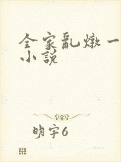 全家乱炖一锅烩小说