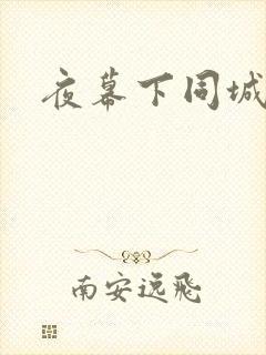 夜幕下同城网