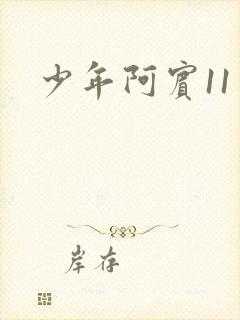 少年阿宾11封面