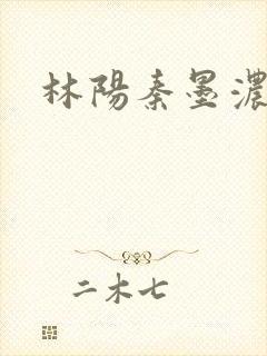 林阳秦墨浓度封面