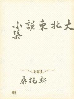 小说东北大炕全集封面
