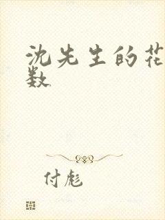 沈先生的花式调数