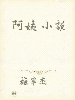阿姨 小说封面