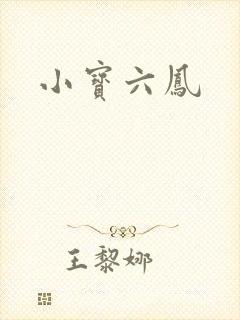 小宝六凤
