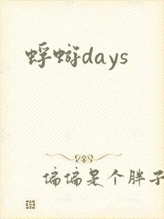 蜉蝣days封面