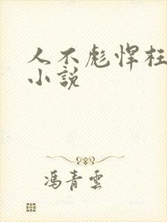 人不彪悍枉少年小说封面