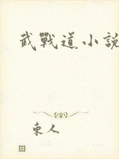 武战道小说