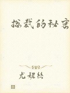 总裁的秘密情人