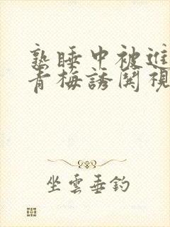 熟睡中被进了H青梅诱哄视频