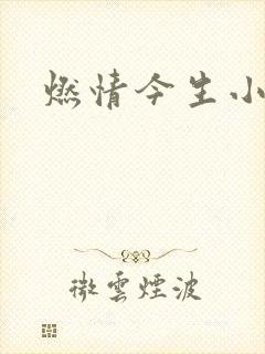 燃情今生小说封面