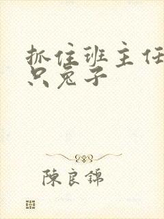 抓住班主任的两只兔子