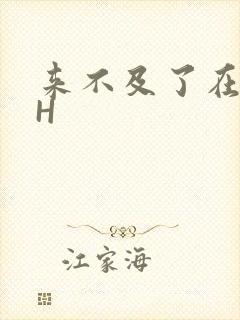 来不及了在车CH