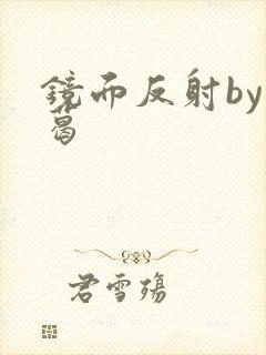 镜面反射by九葛封面