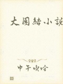 大团结小说阅读